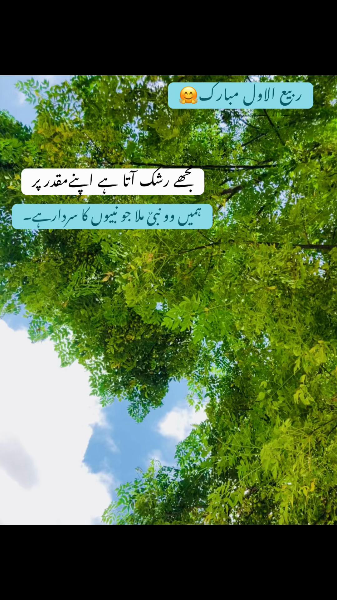@Liaquatiqbal143😎