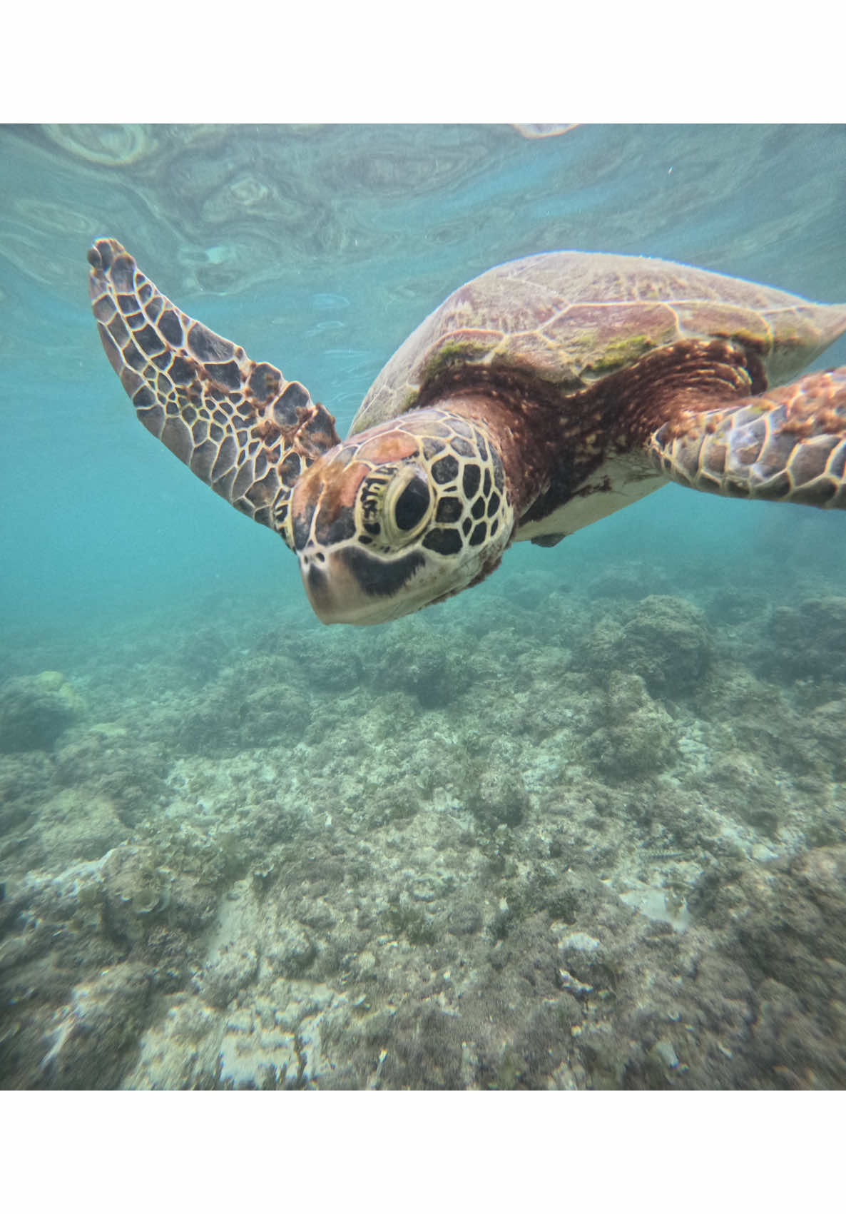 @Maartiwanders