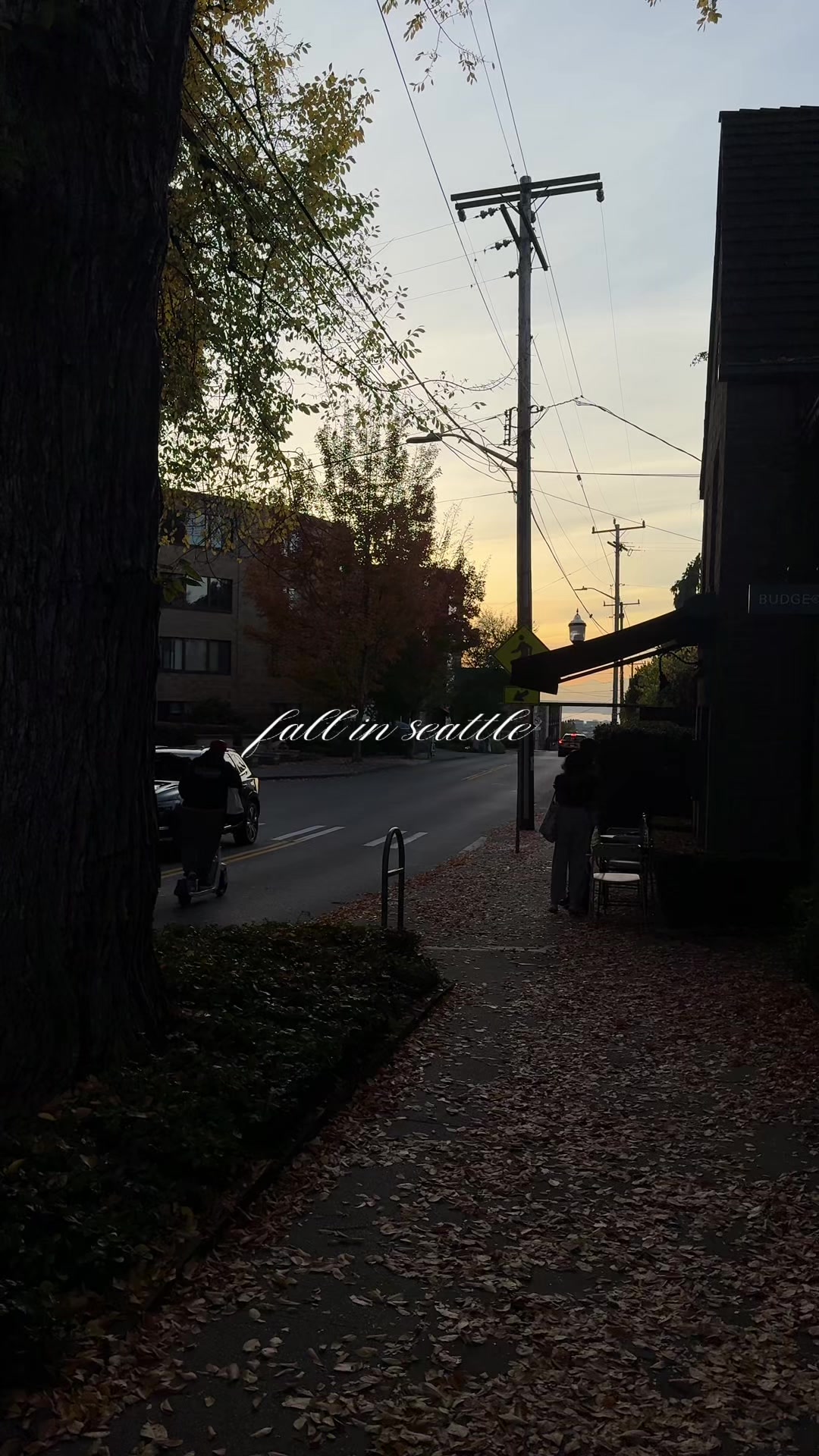 @sof ⋆☁︎。⋆☾