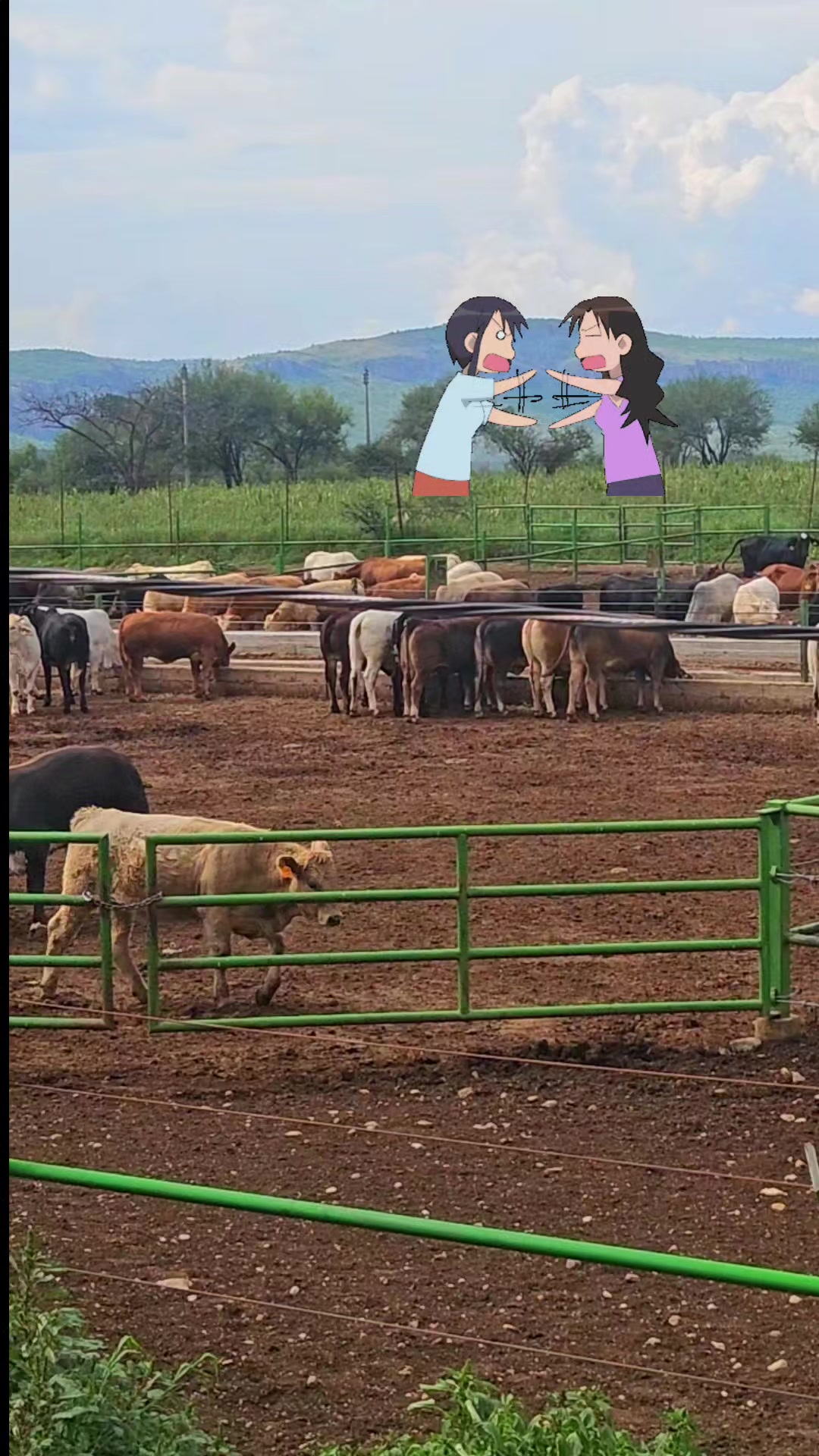@Maralya