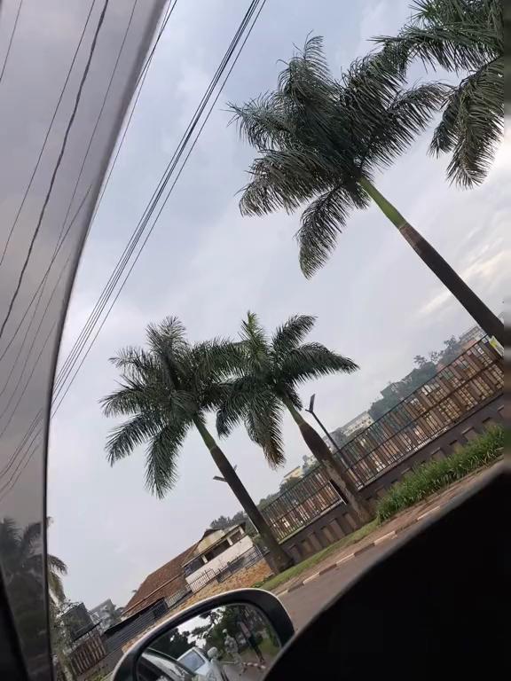 @Demzee SD๐ธ๐ธ