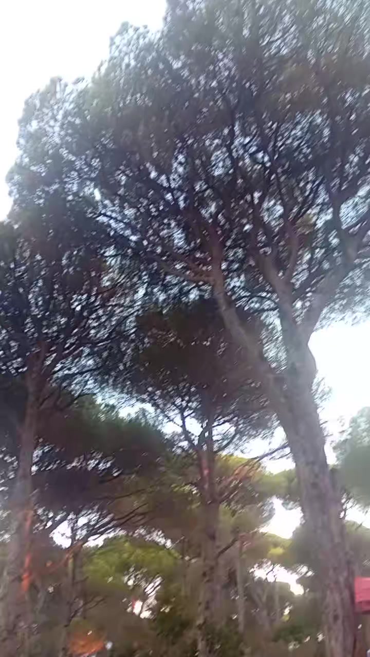 @LóuLòu él Háriri