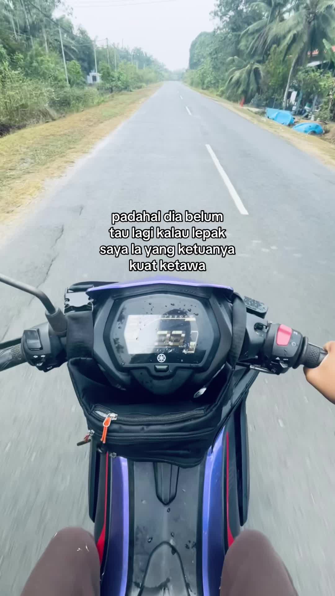 @tehhijau571