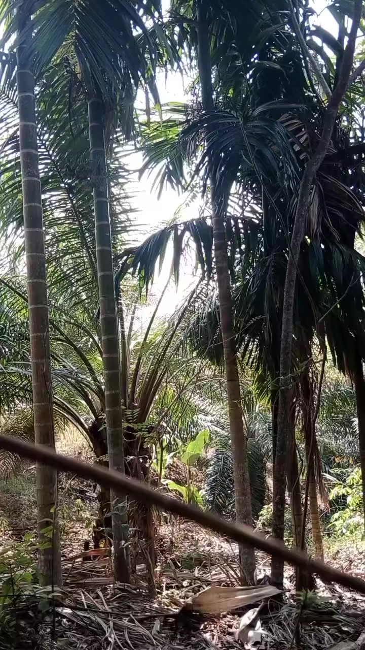 @Hendrik Susan