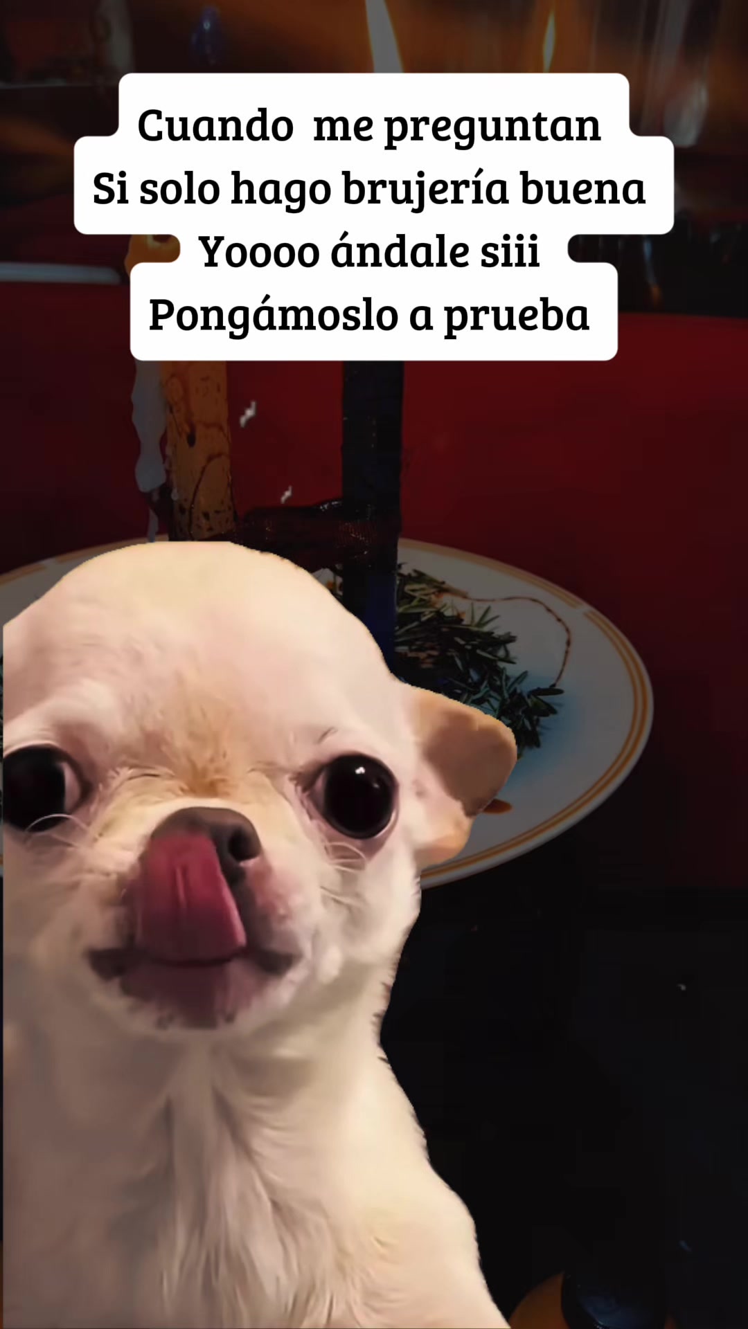 @sandyeleguacita