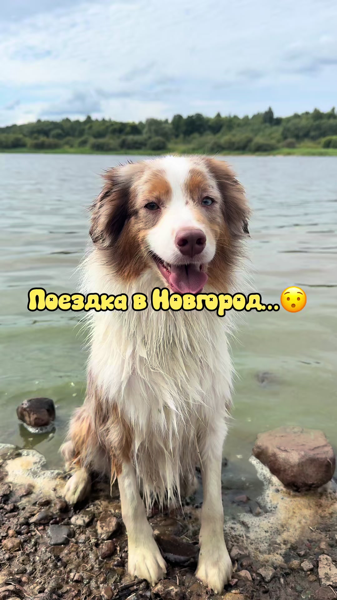 @𝚃𝚠𝚒𝚡