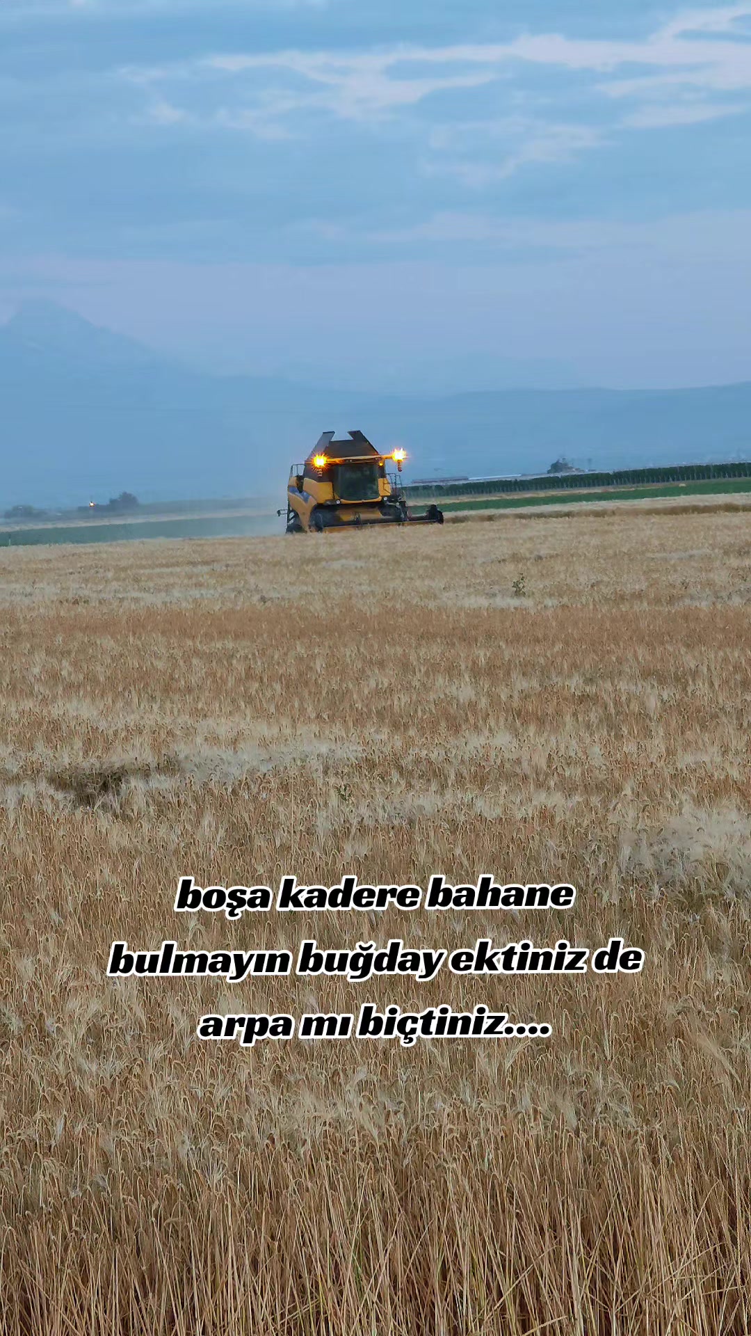 @Ayhan 38