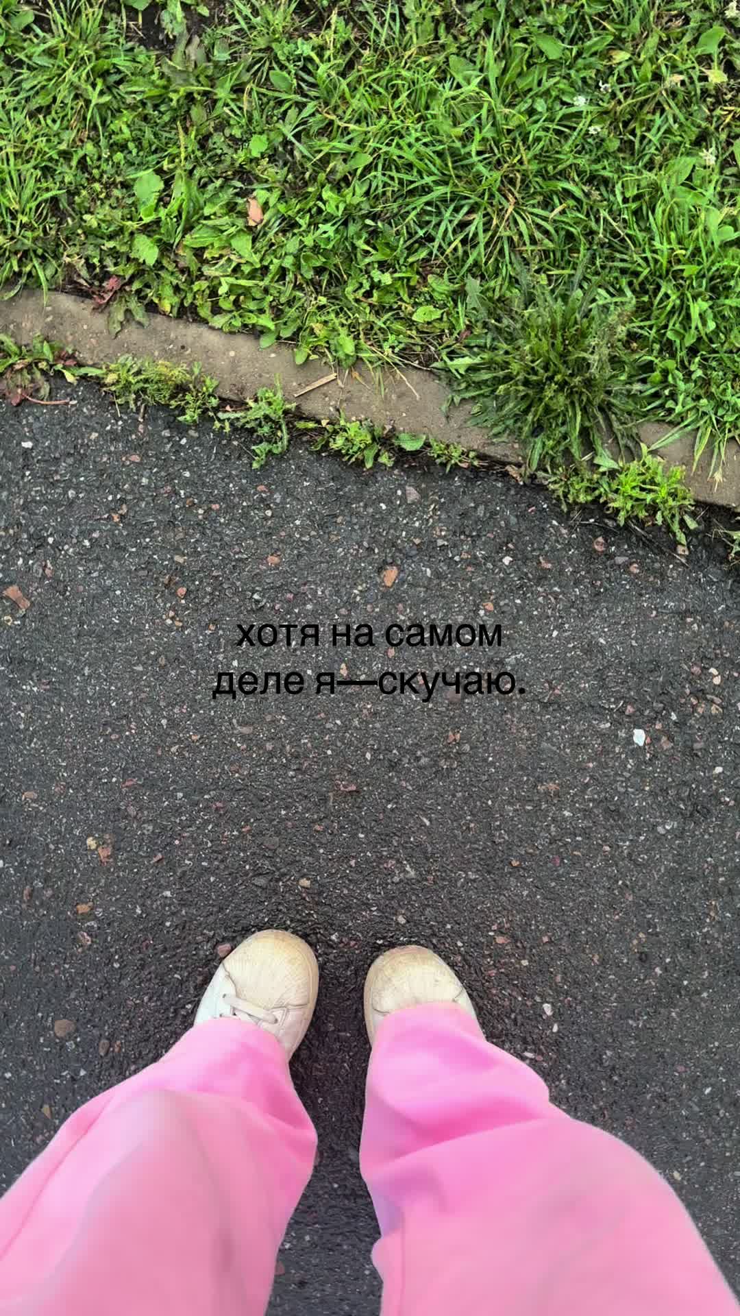 @🐈⬛