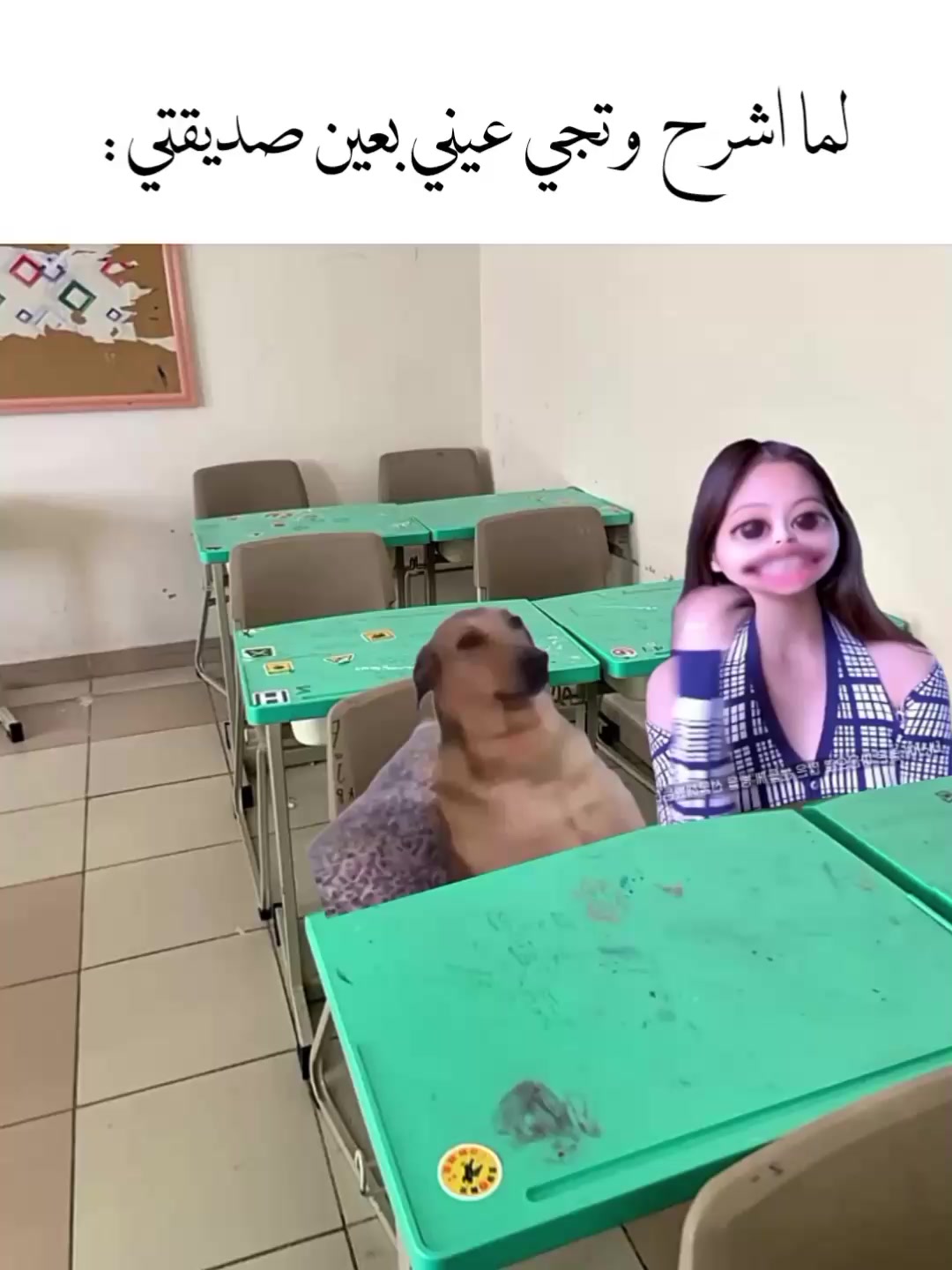@㐭 ʾ ᑲella ៹ 𖦹