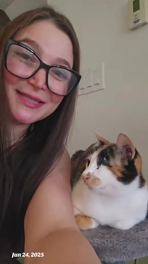 @wonderwoman Cats