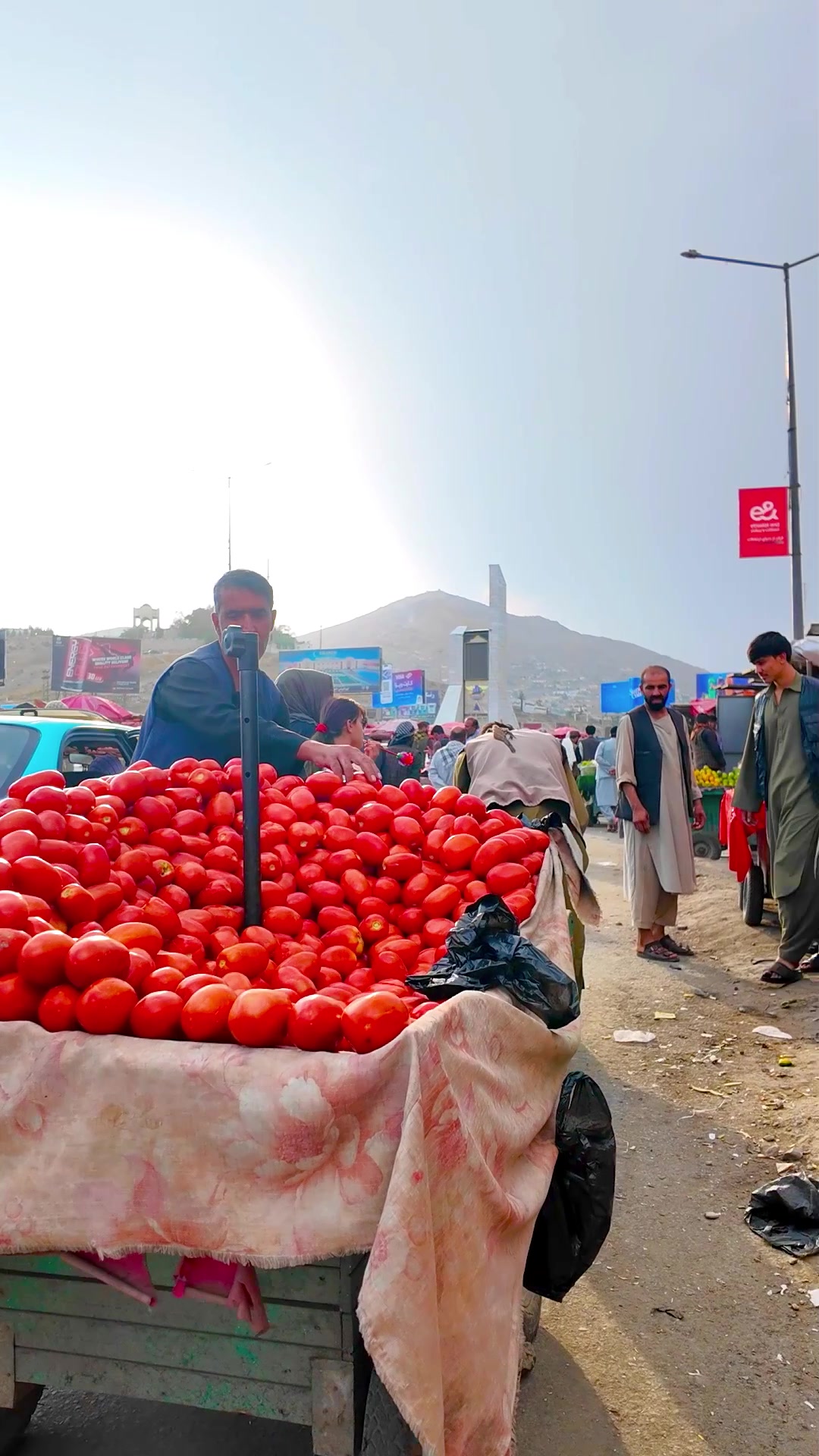 @afghanseries