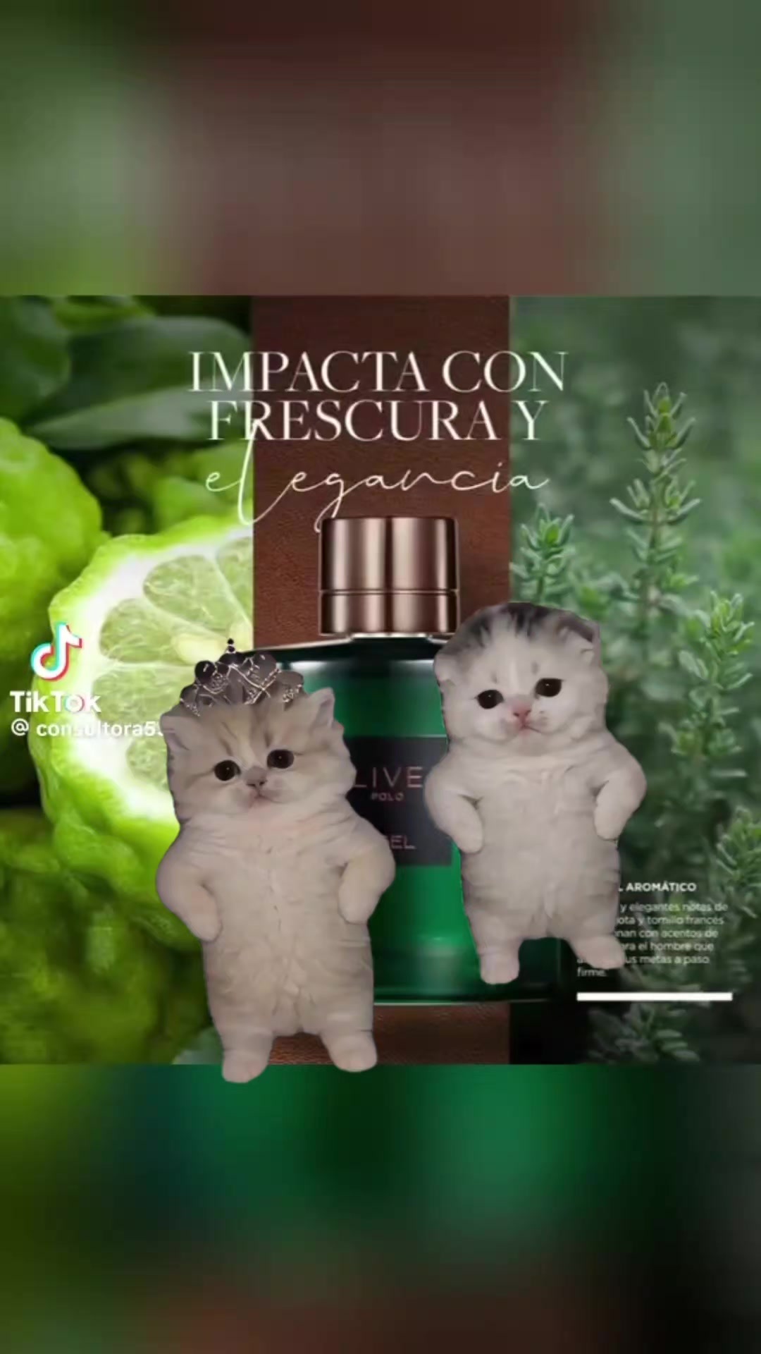 @Viviana
