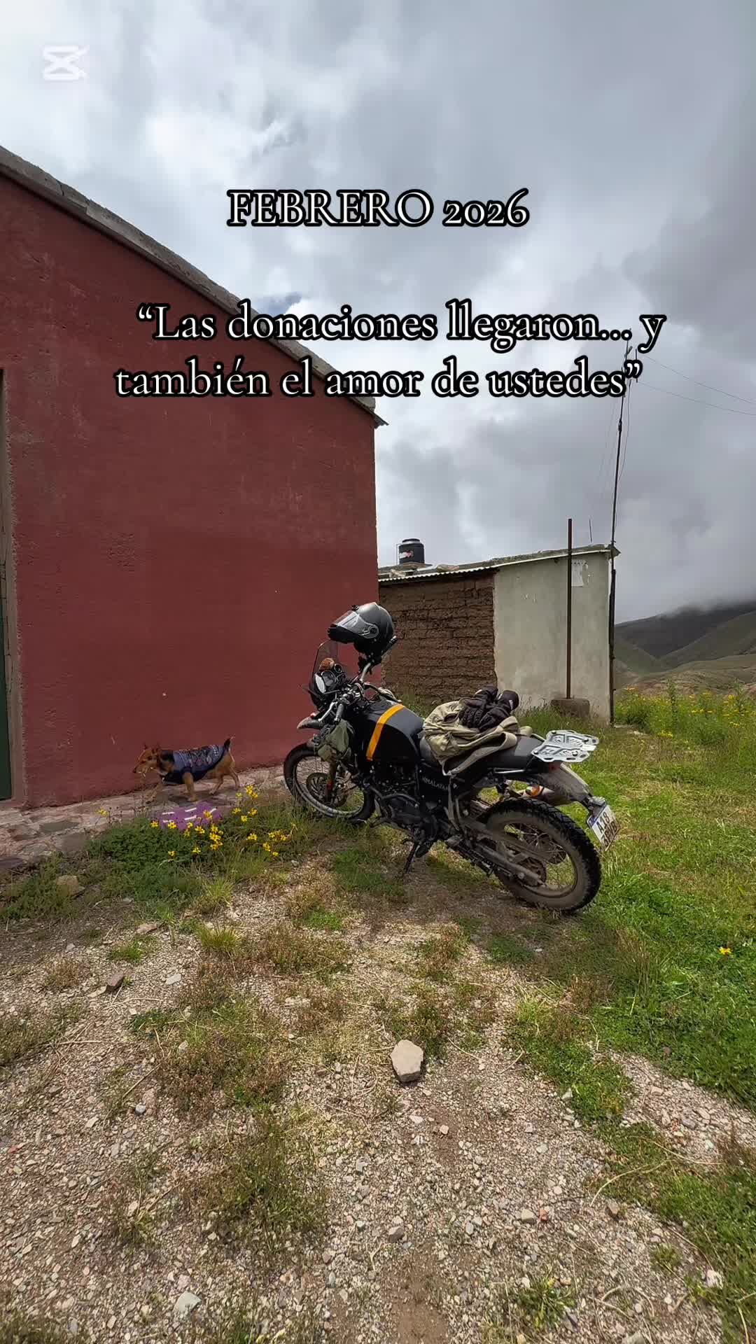 @Celso Lamas