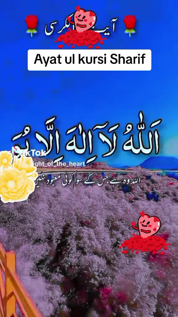 @Afreen Khan kaka❤️🩹❤️🩹