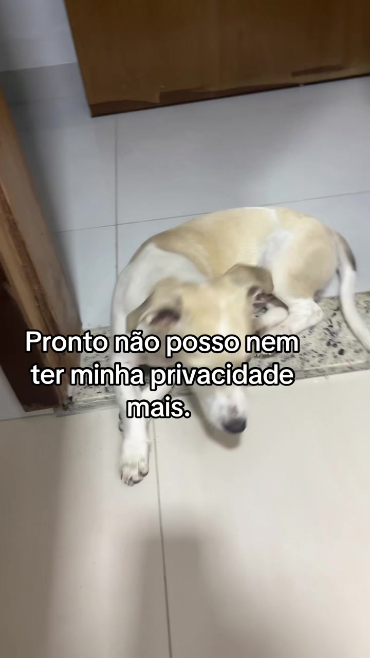 @JU DICAS E RECETAS
