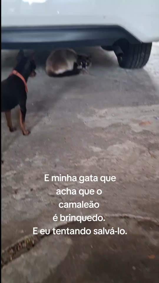 @De tudo um pouco
