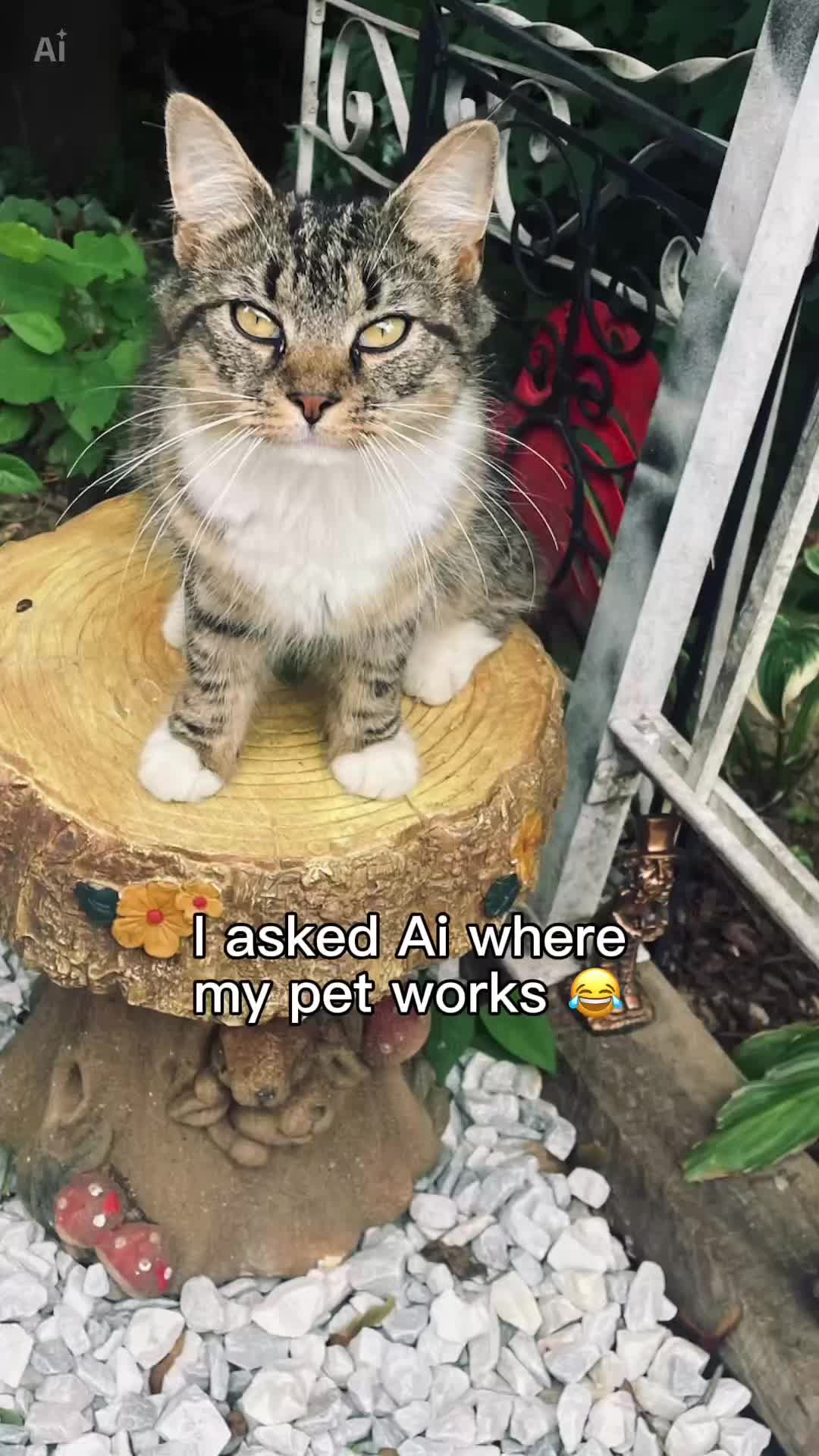 @Inmyrightbrain