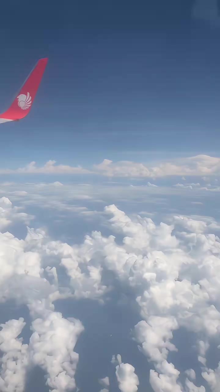 @๐ฏ๐๐๐ ๐พ๐๐๐๐๐๐๐๐๐