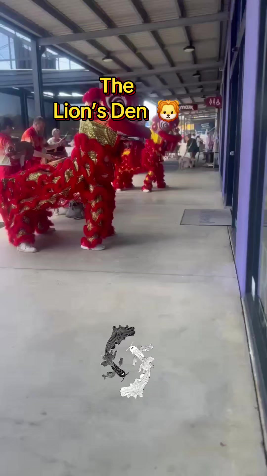 @Daniel the lion 🦁