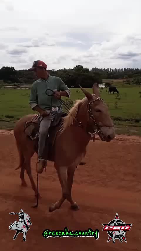 @Fernando Coelho