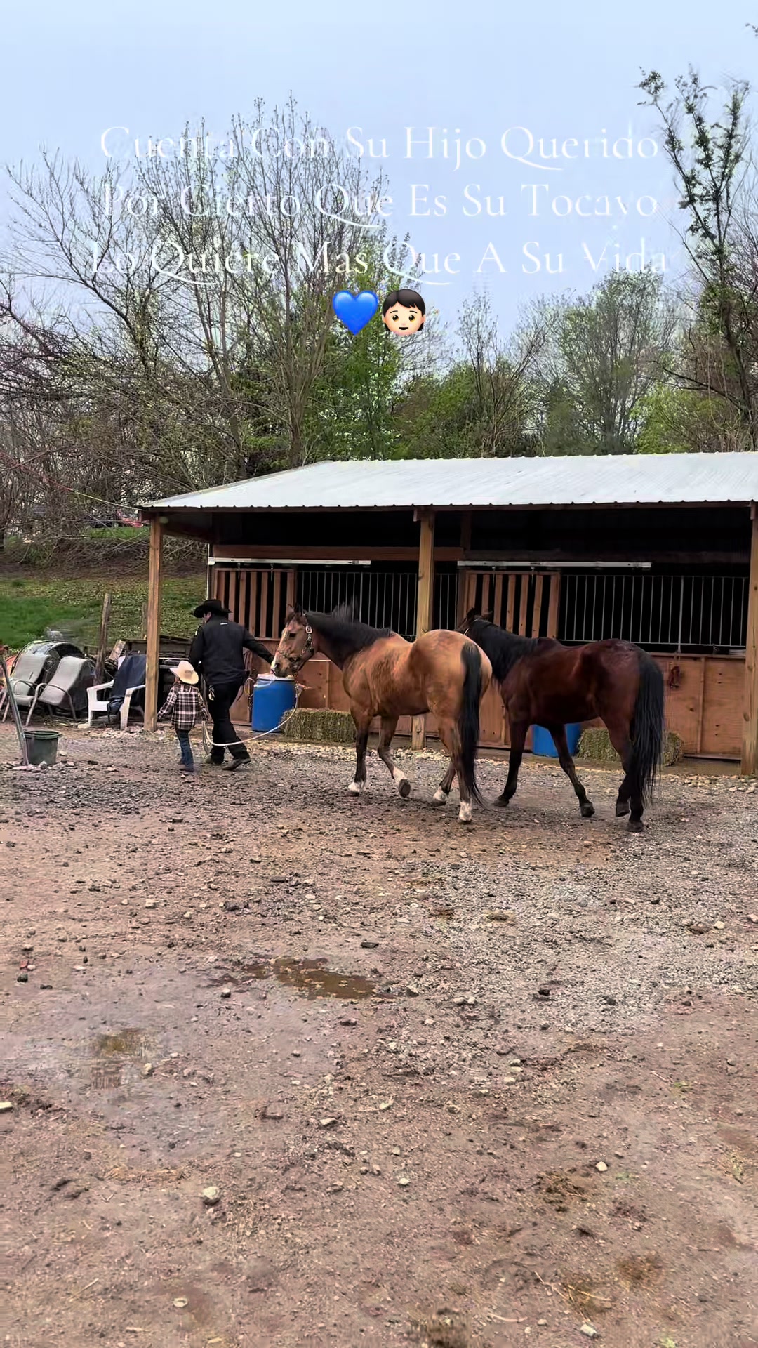 @Dreaaa🎀🐎