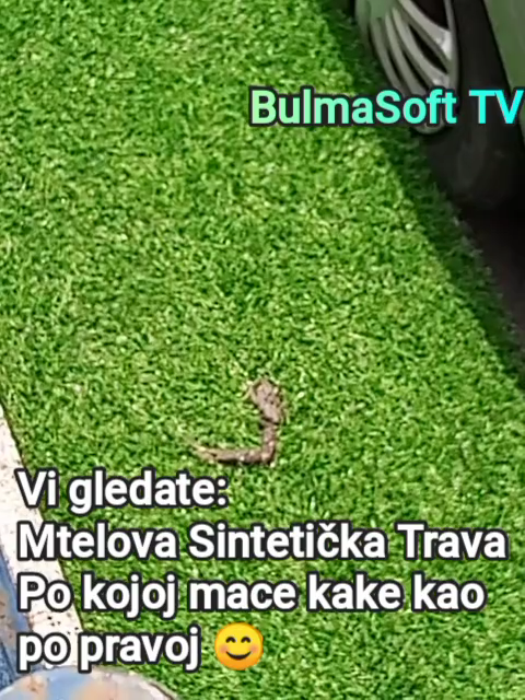@BulmaSoft