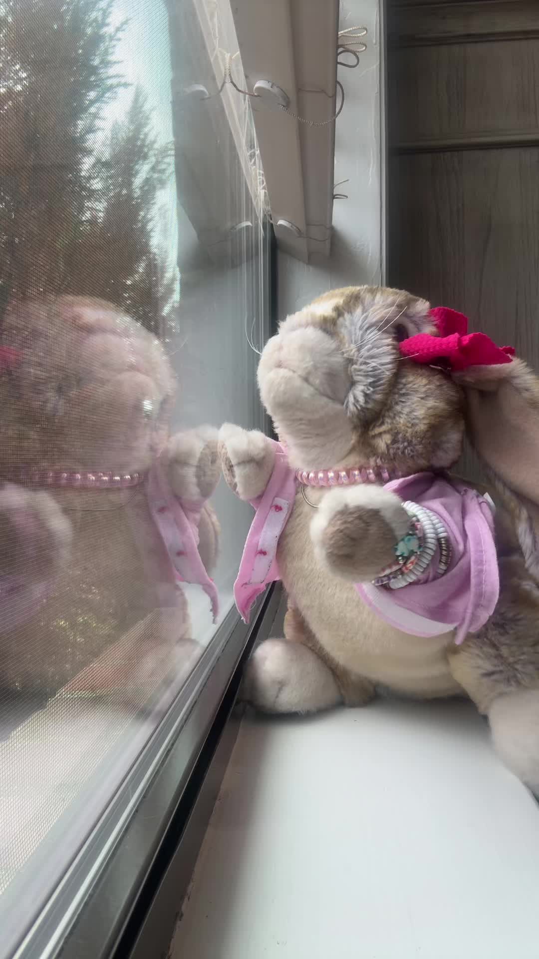@rabbitdaisymae