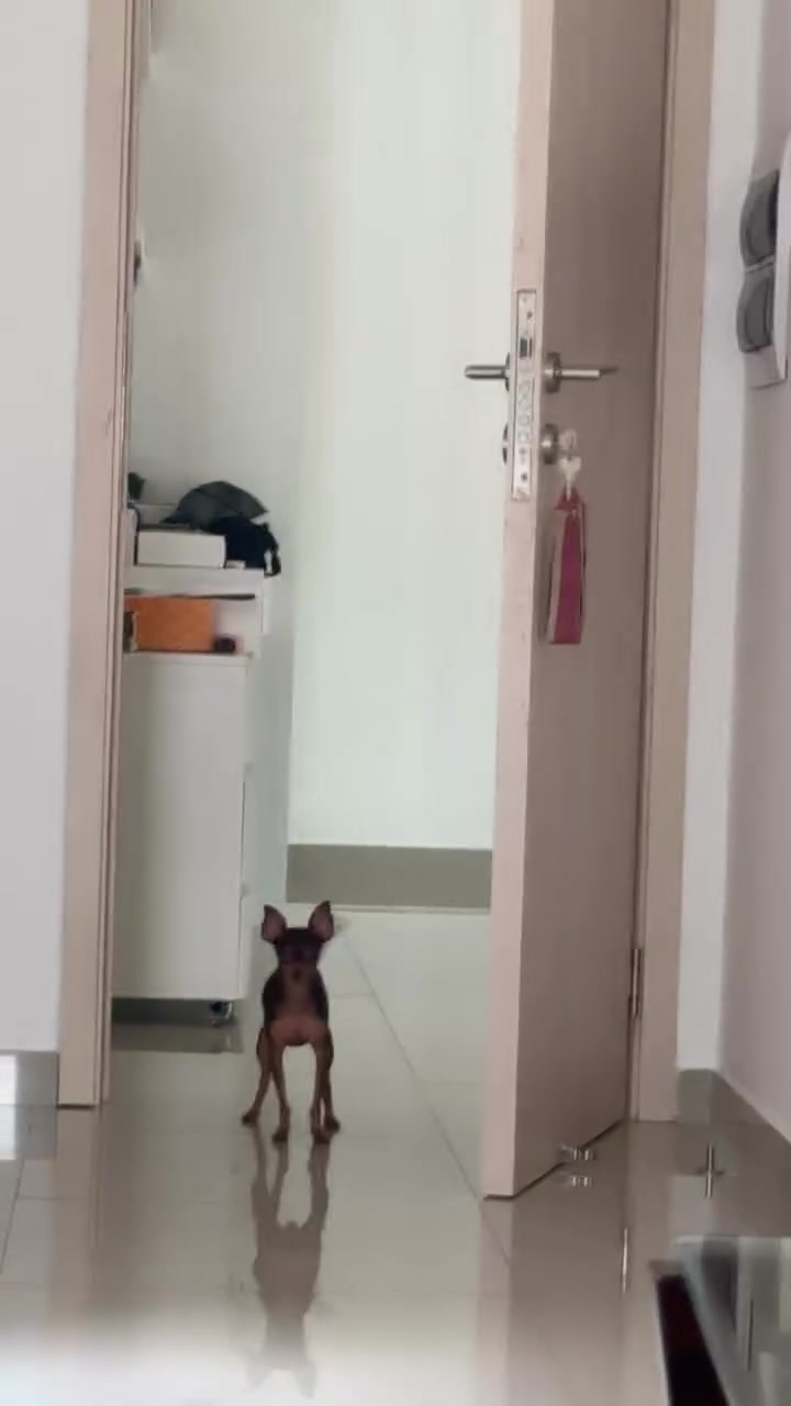 @fabimartinezes