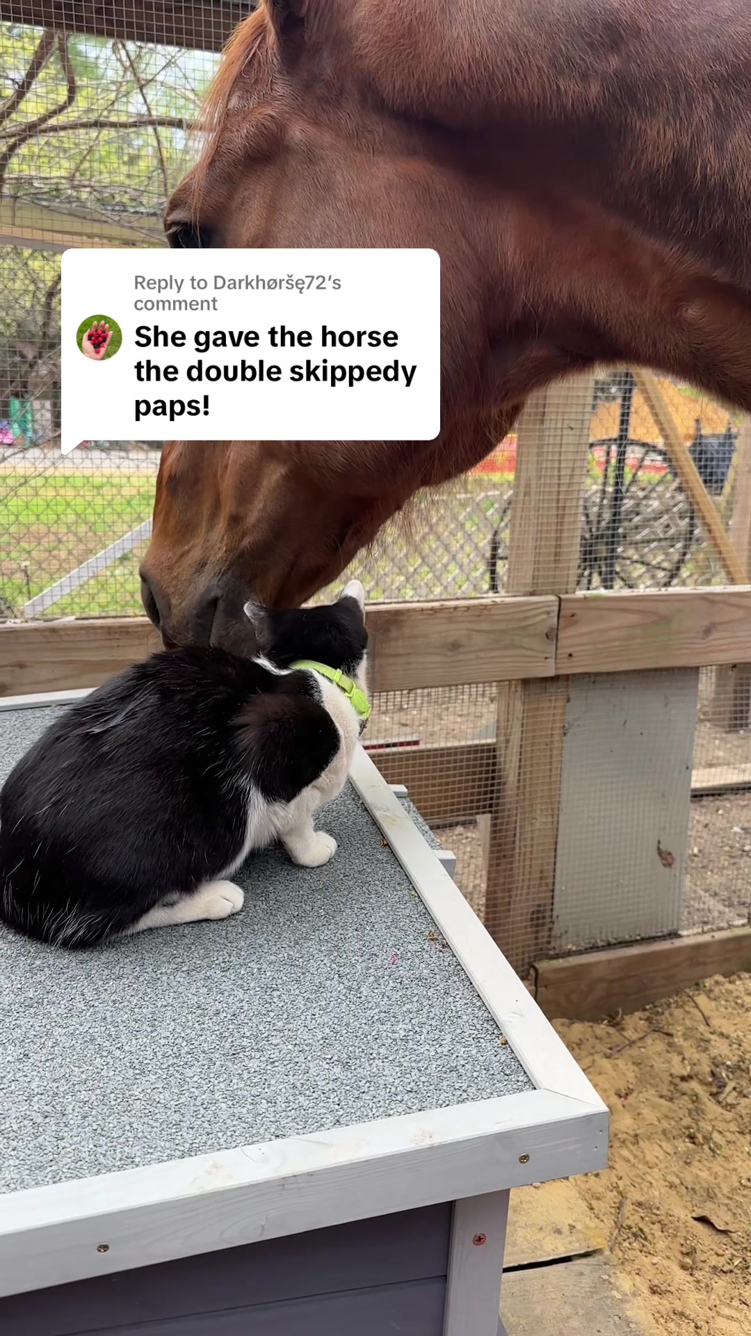 @TinySuburbanFarm