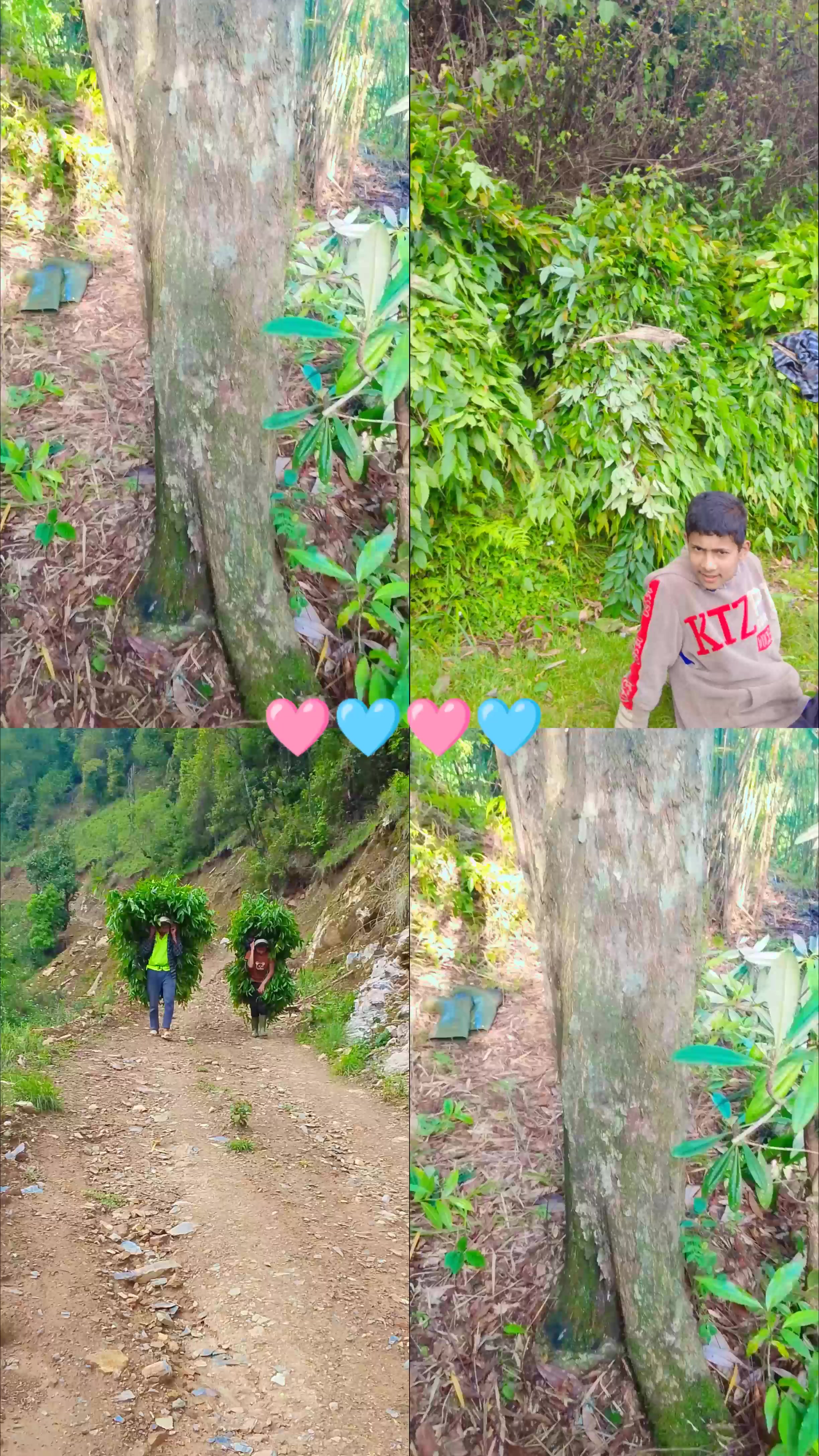 @सागर खड्का 🥰❣️