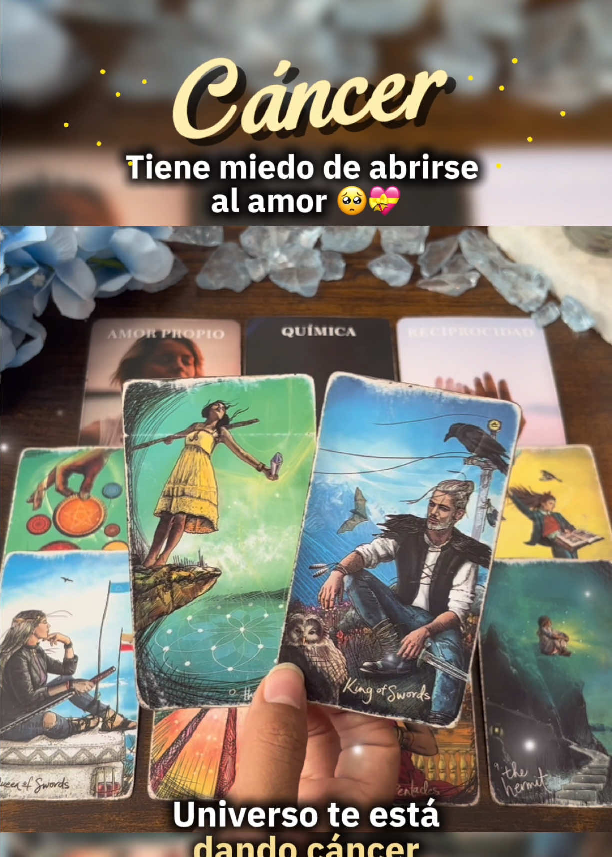 @Andy Sun Tarot ☀️