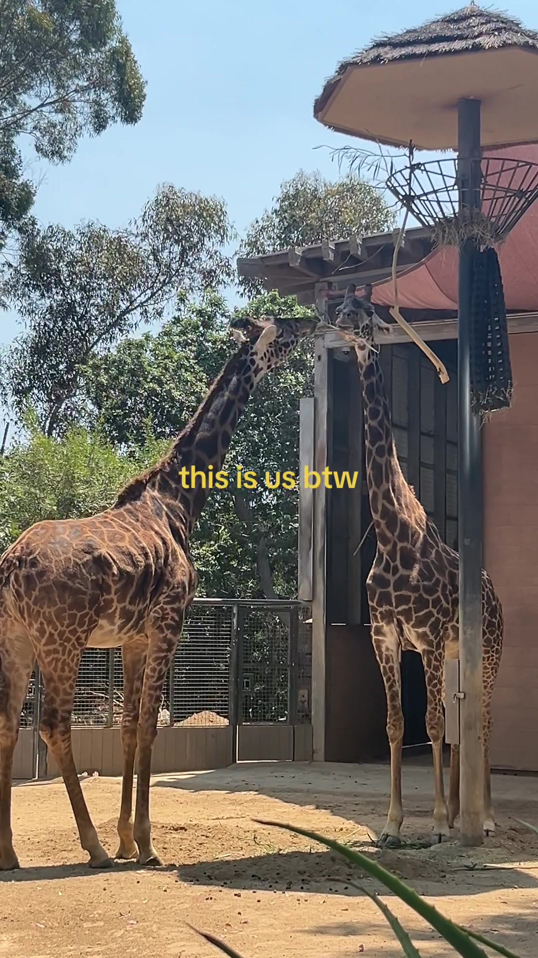 @skylar