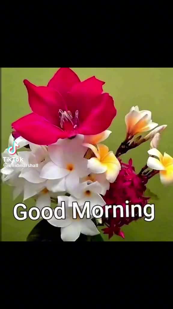 @harpal