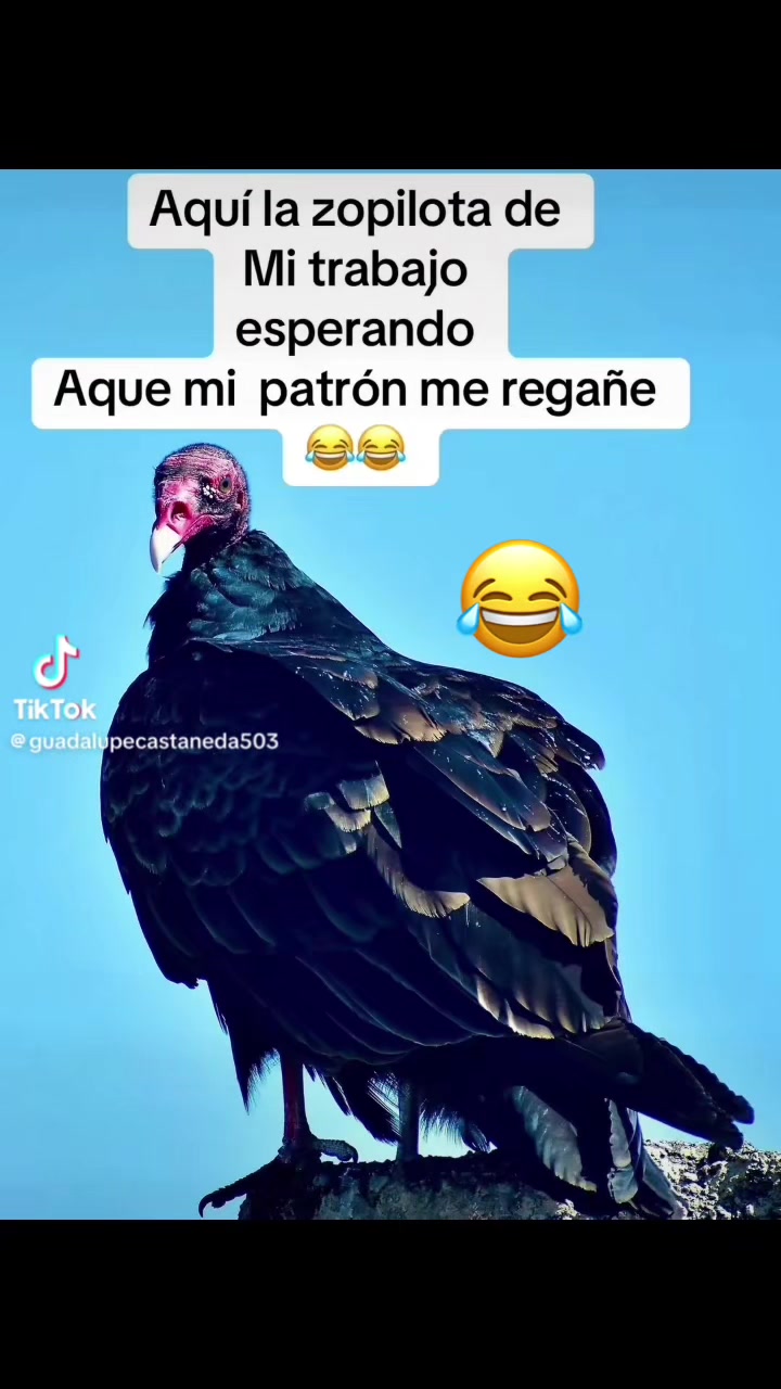 @Maria Delcarmen