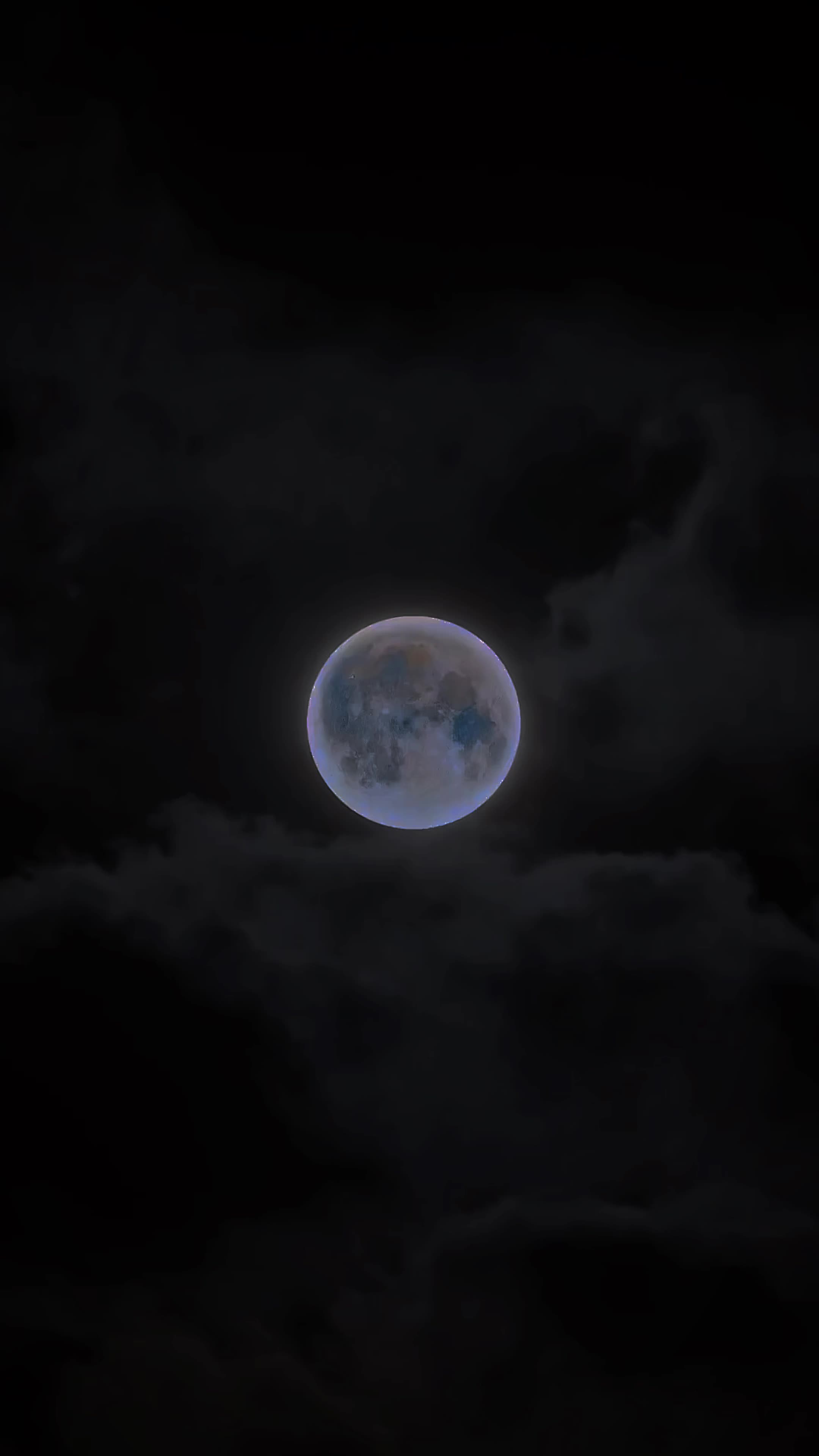 @شـــبــــیـر