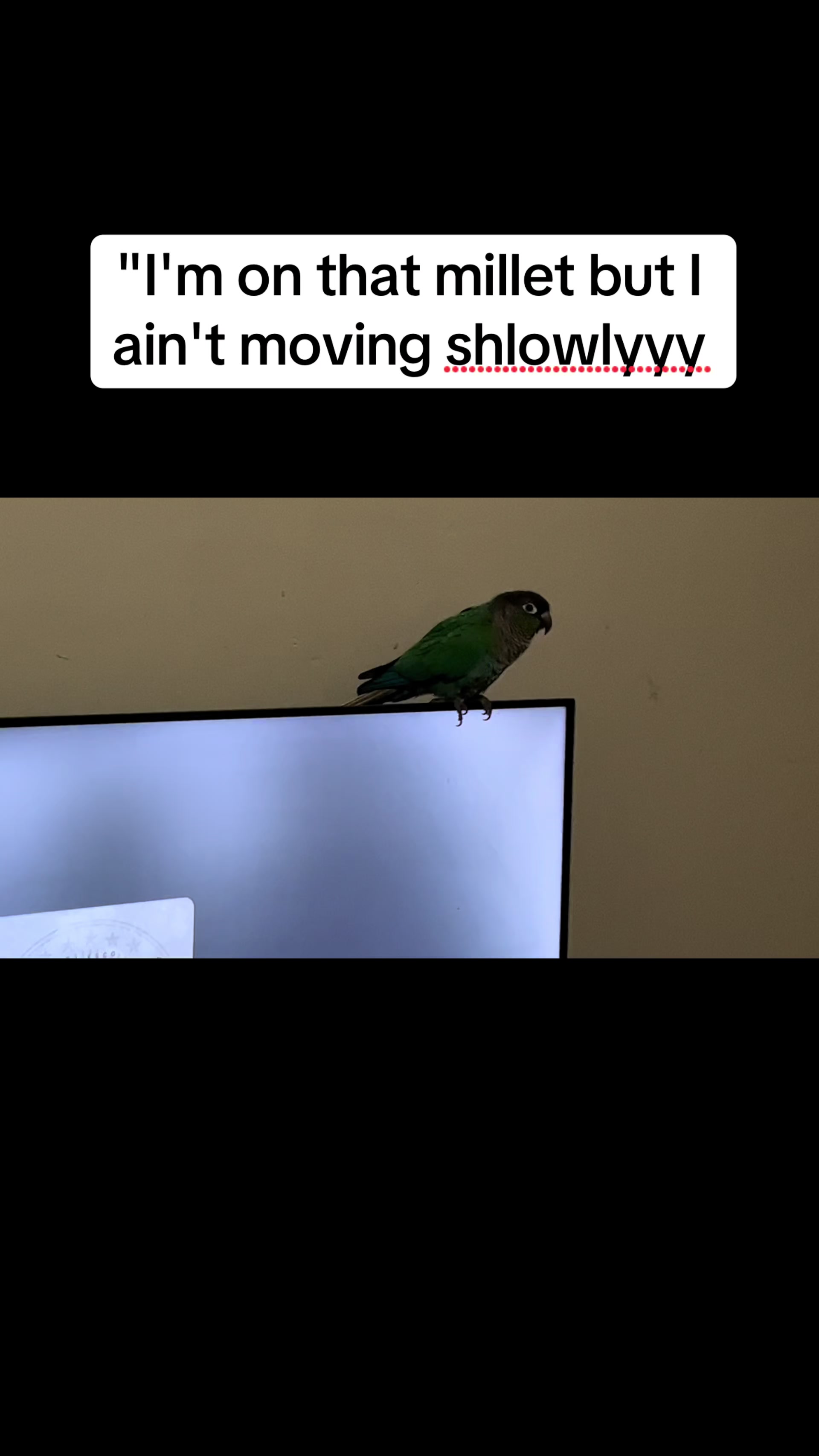 @Marley