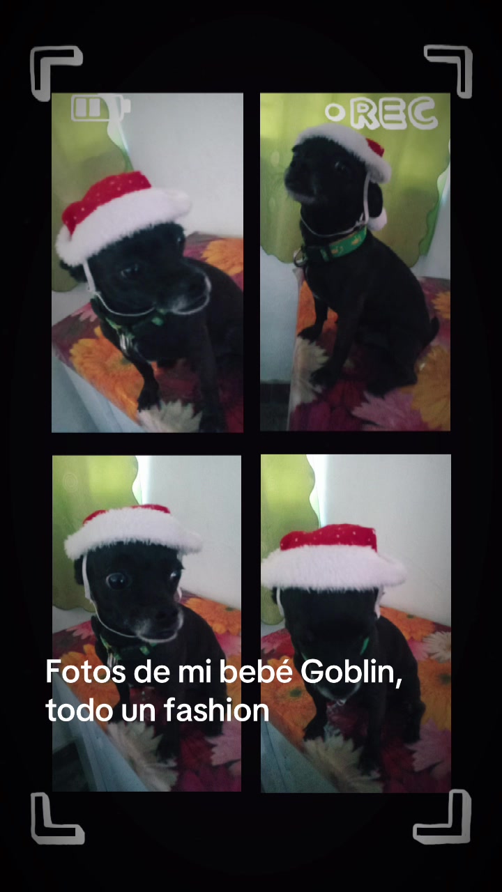 @ReynitaMontaño