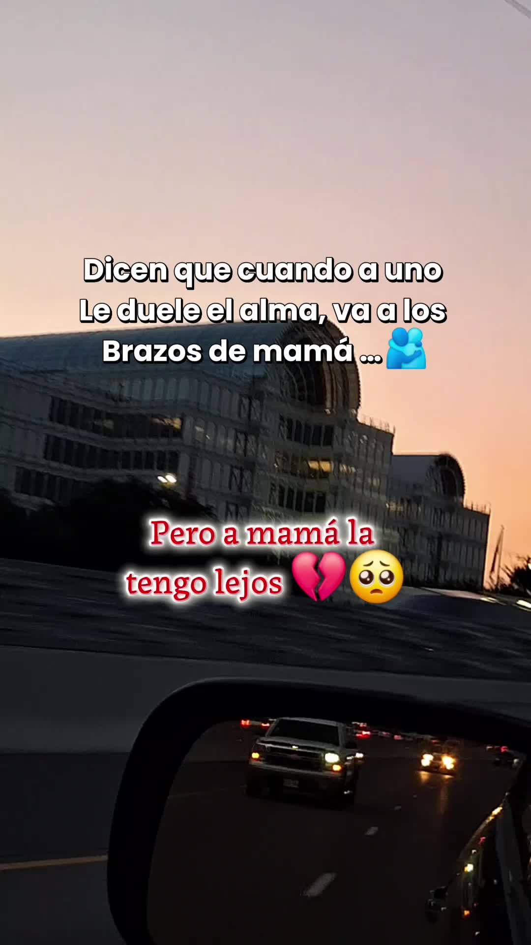 @💯💫🐅el tigre 🥷