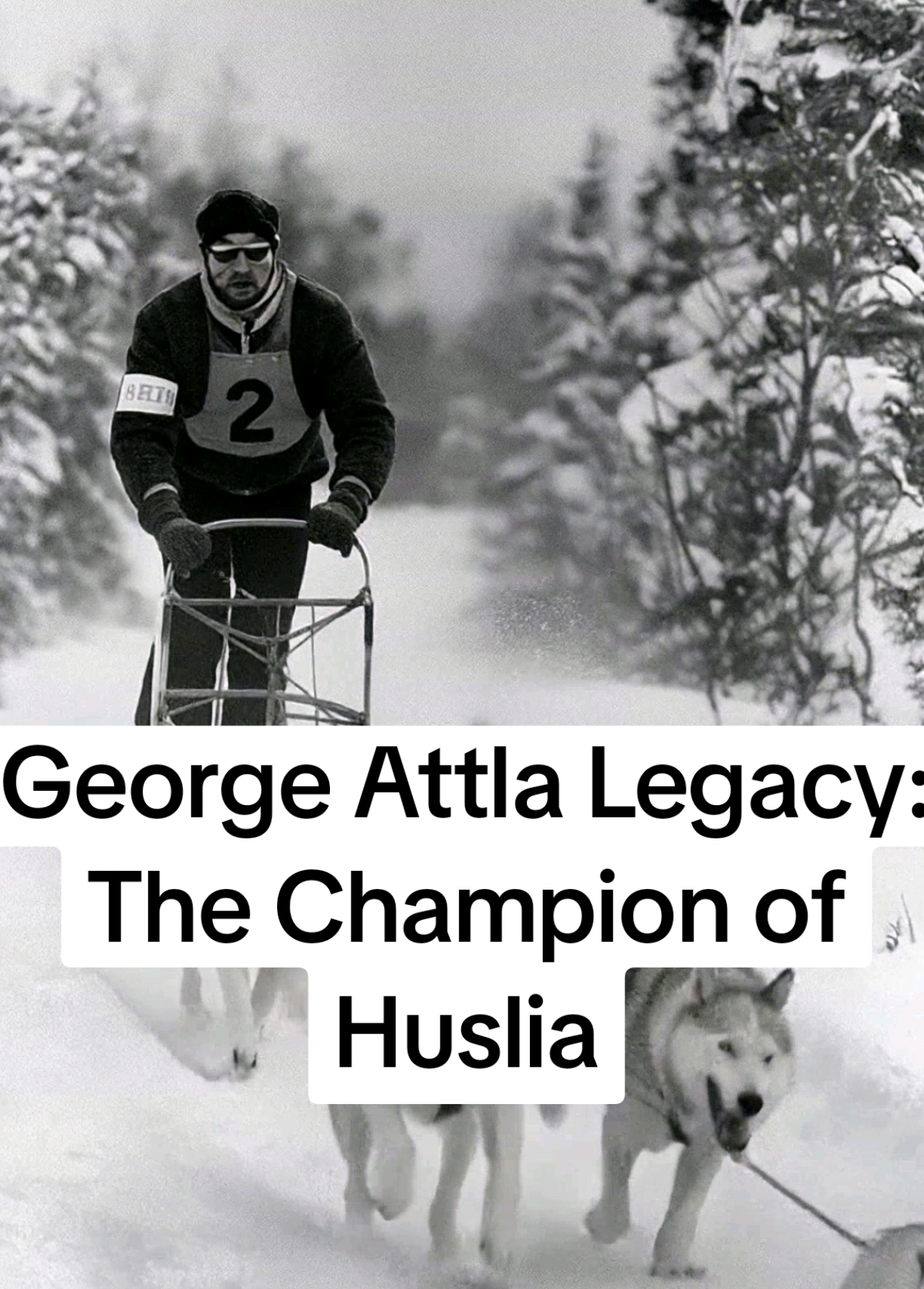 @alaska.history