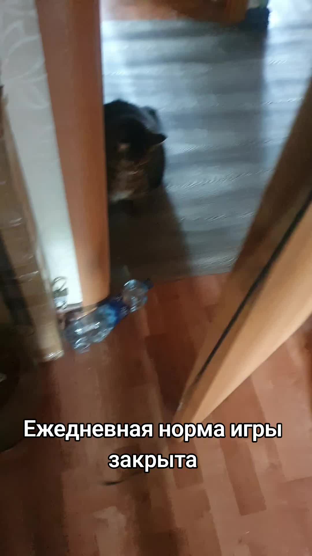 @Николай Георгиевич Срака