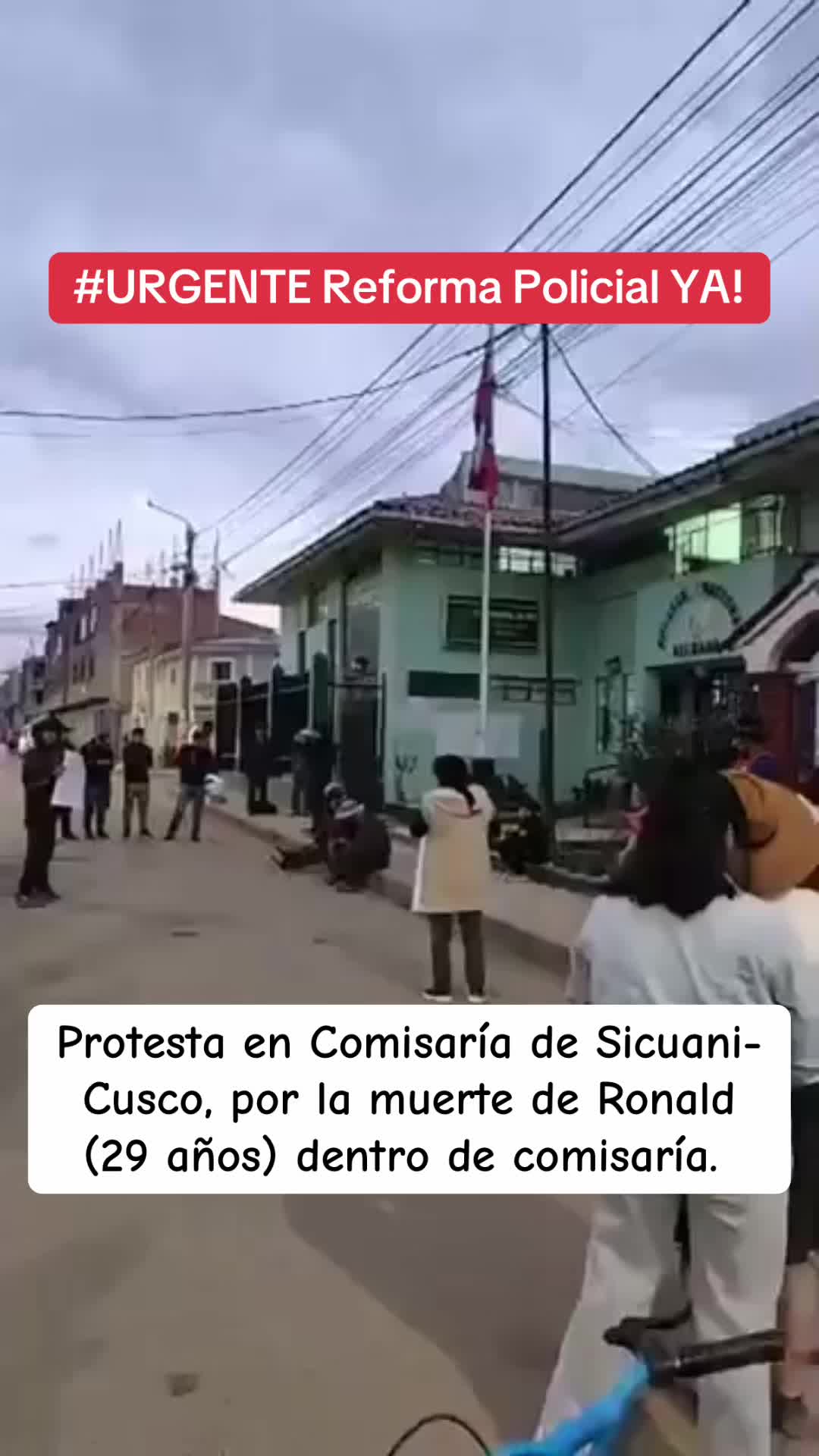 @PEXSemillasdeLibertad