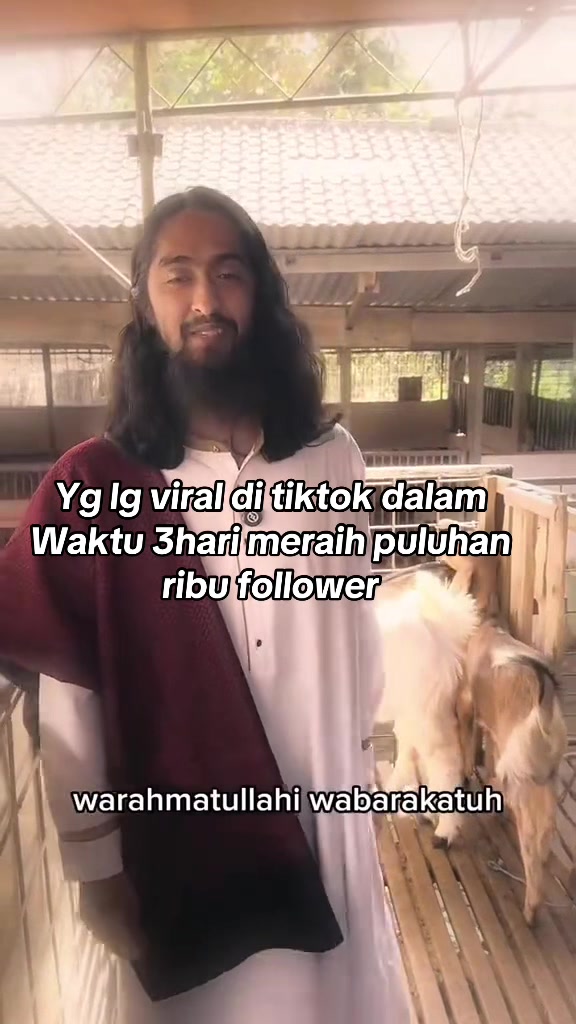 @CIMOLpedas🐬