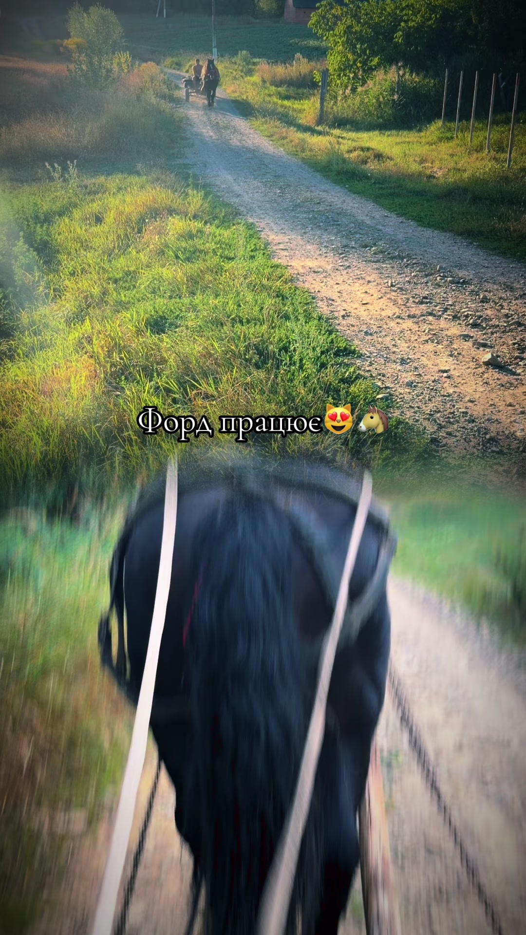 @๐
ข๐
ฃ๐
๐
๐
๐
ข๐
๐
๐
ฅ๐ช๐ป