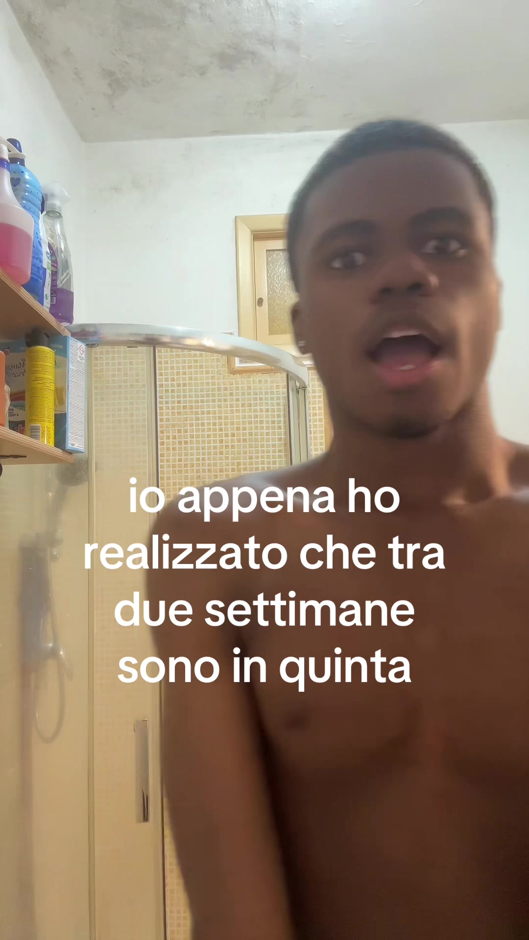 @wizdiologista