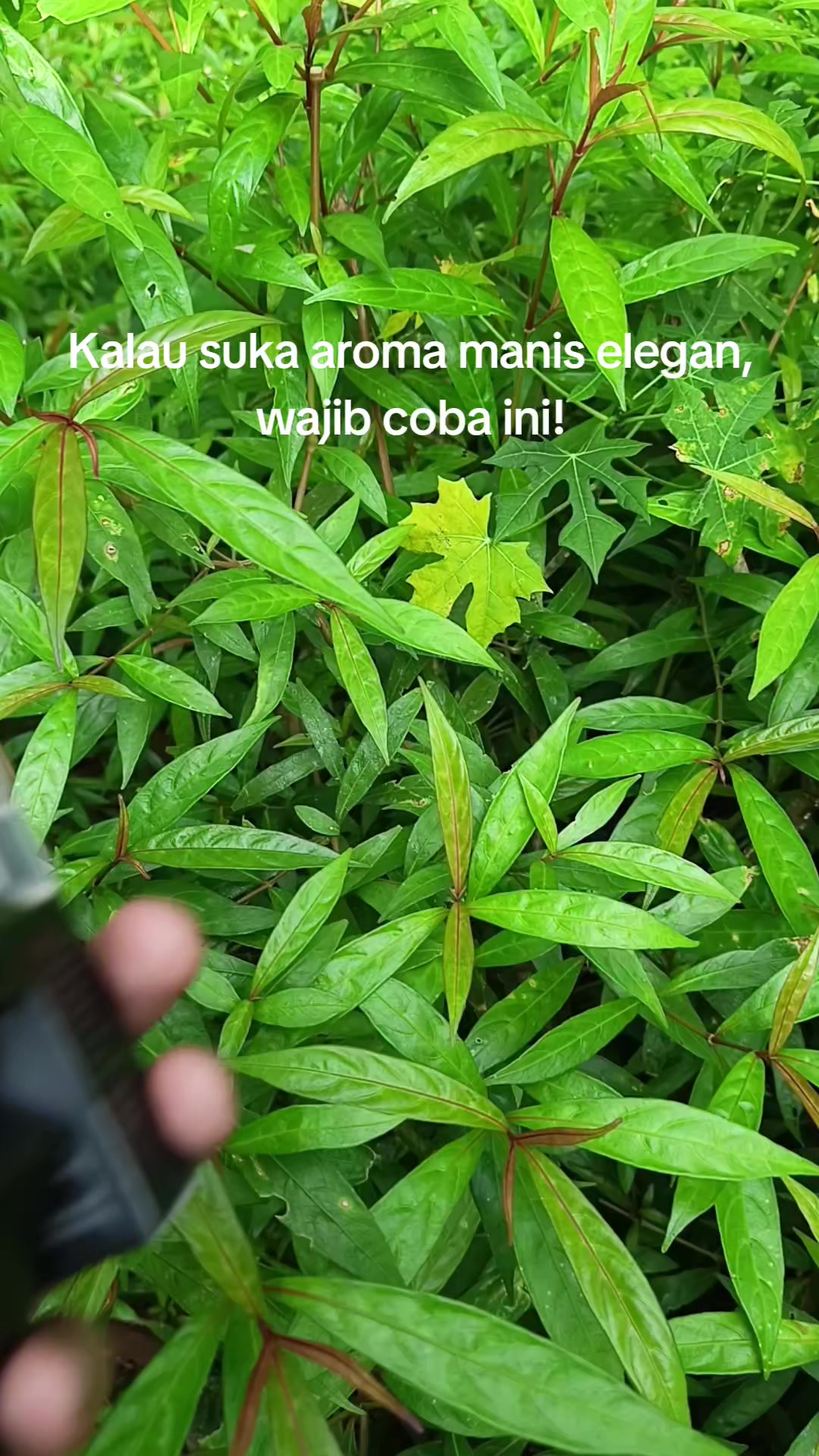 @kyy⚡