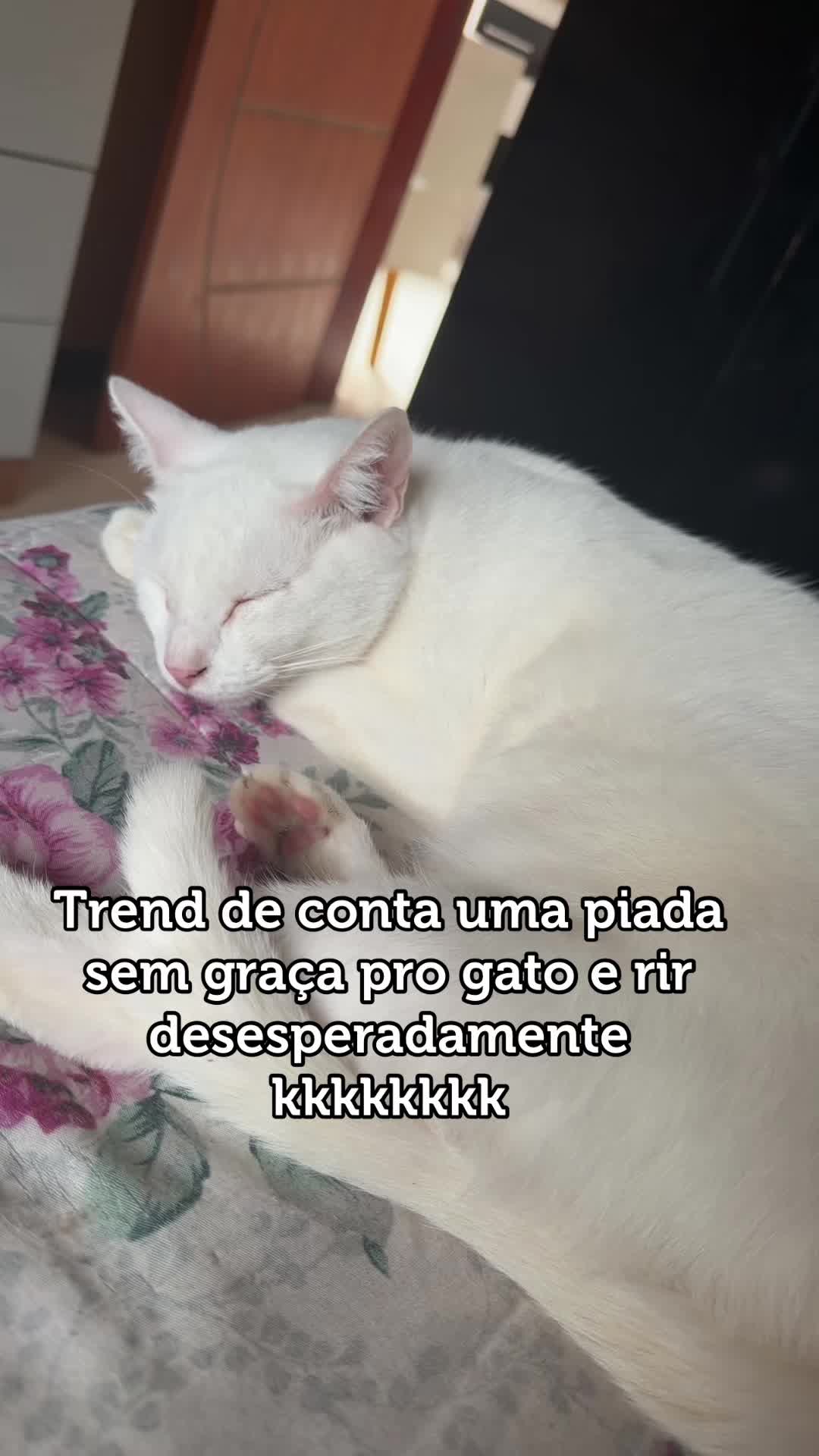 @Marcela Mesquita