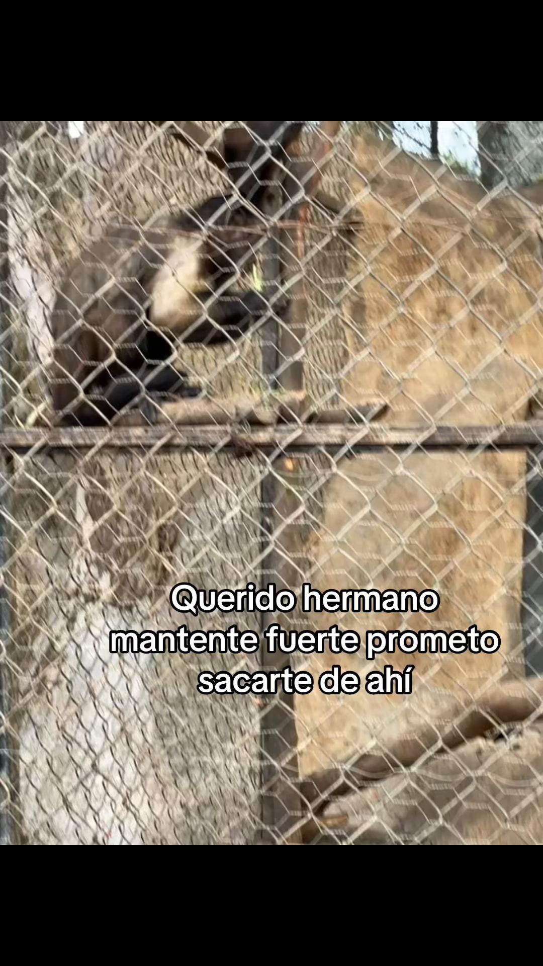 @AV