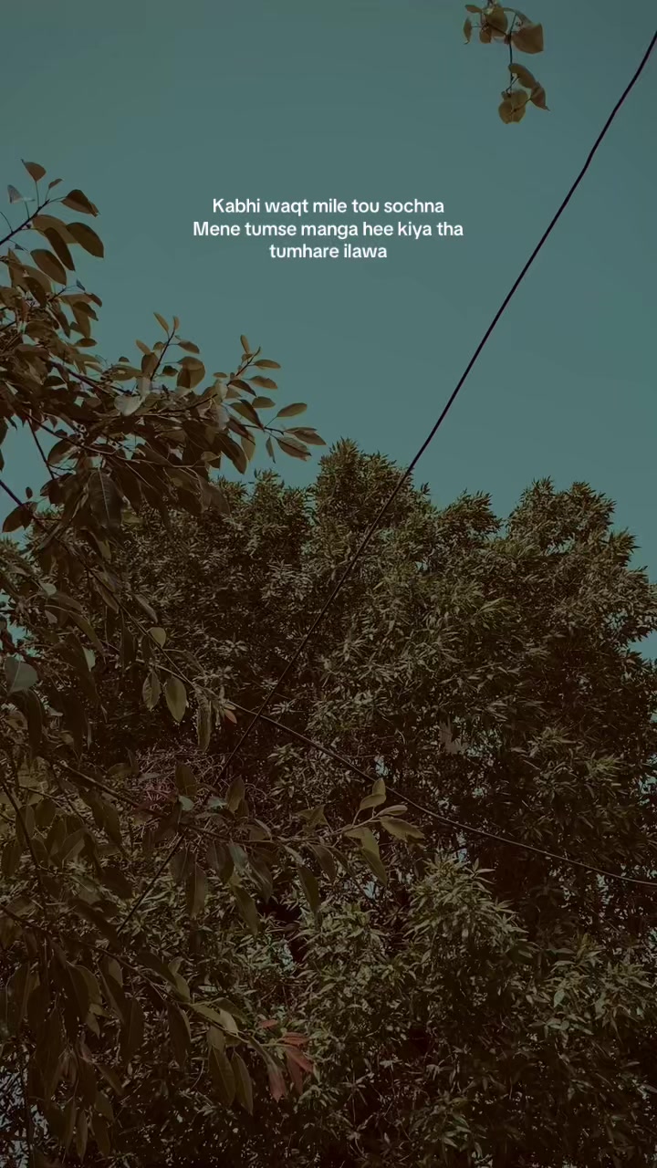 @MIRZA👻