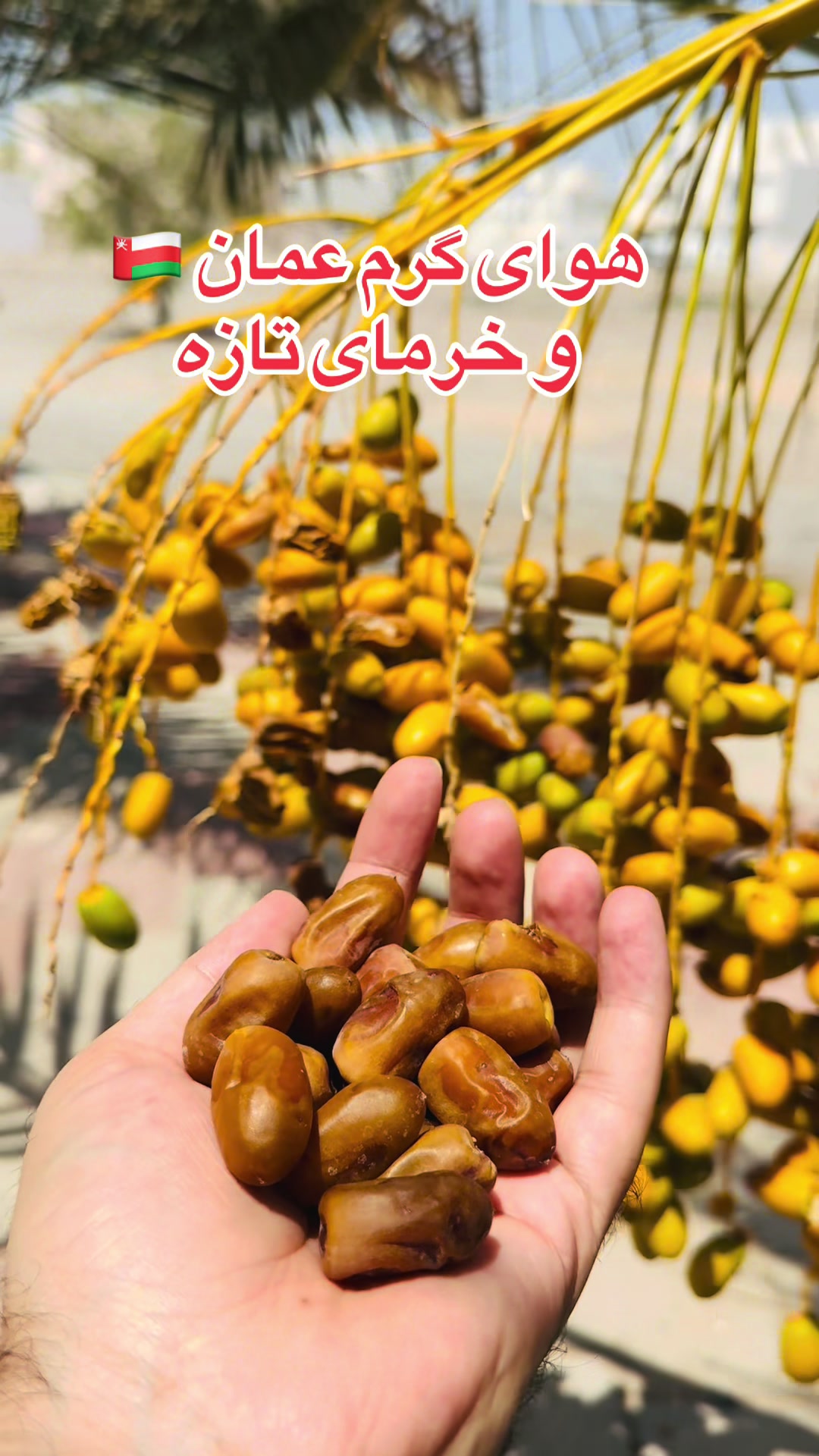@Inamullah Fayez