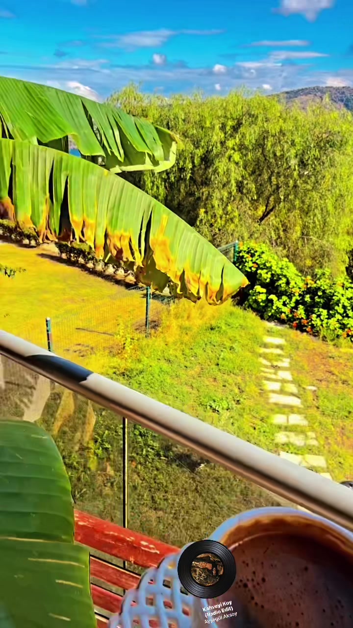 @gülten özkaya bodrum